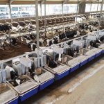 CRV presenta FeedExcel: Mejora de la eficiencia alimentaria para garantizar una ganadería lechera sostenible y rentable