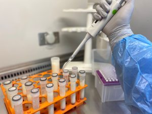La Revolución del PCR en Veterinaria Innovación en el Diagnóstico Veterinario y avances en la Producción Lechera