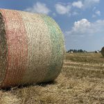 Mallas para bolos ¿En qué debo fijarme?