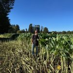 Nos Recomiendan: Germán Santa Cruz – Fundo Las Pataguas