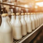 Evolución del indicador IFCN para el precio de la leche y proyecciones del mercado lácteo