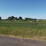 Resumen de la Conferencia Lechera IFCN 2025