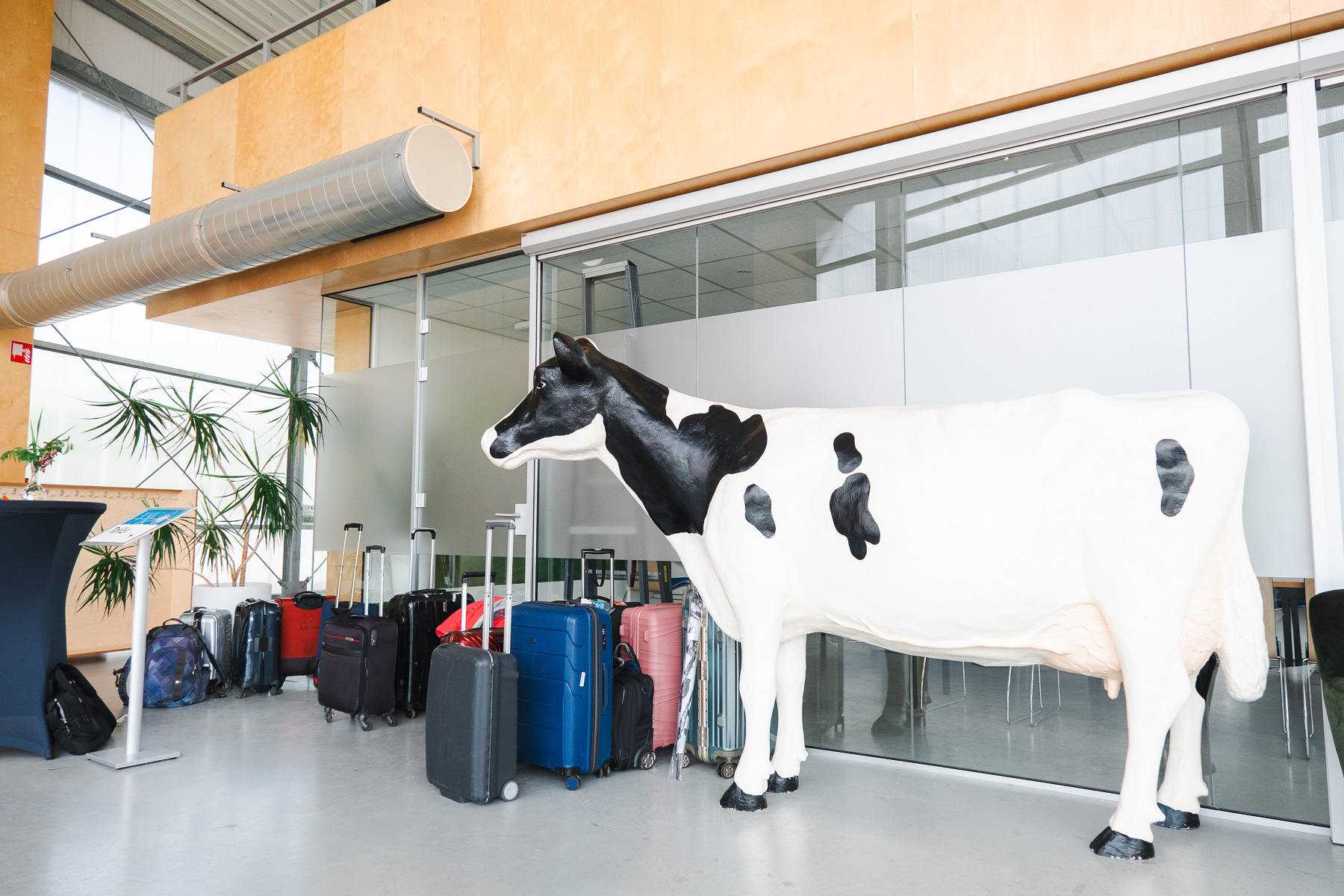 IFCN Dairy Conference 2025 - JEROEN VAN DE BOVENKAMP -319