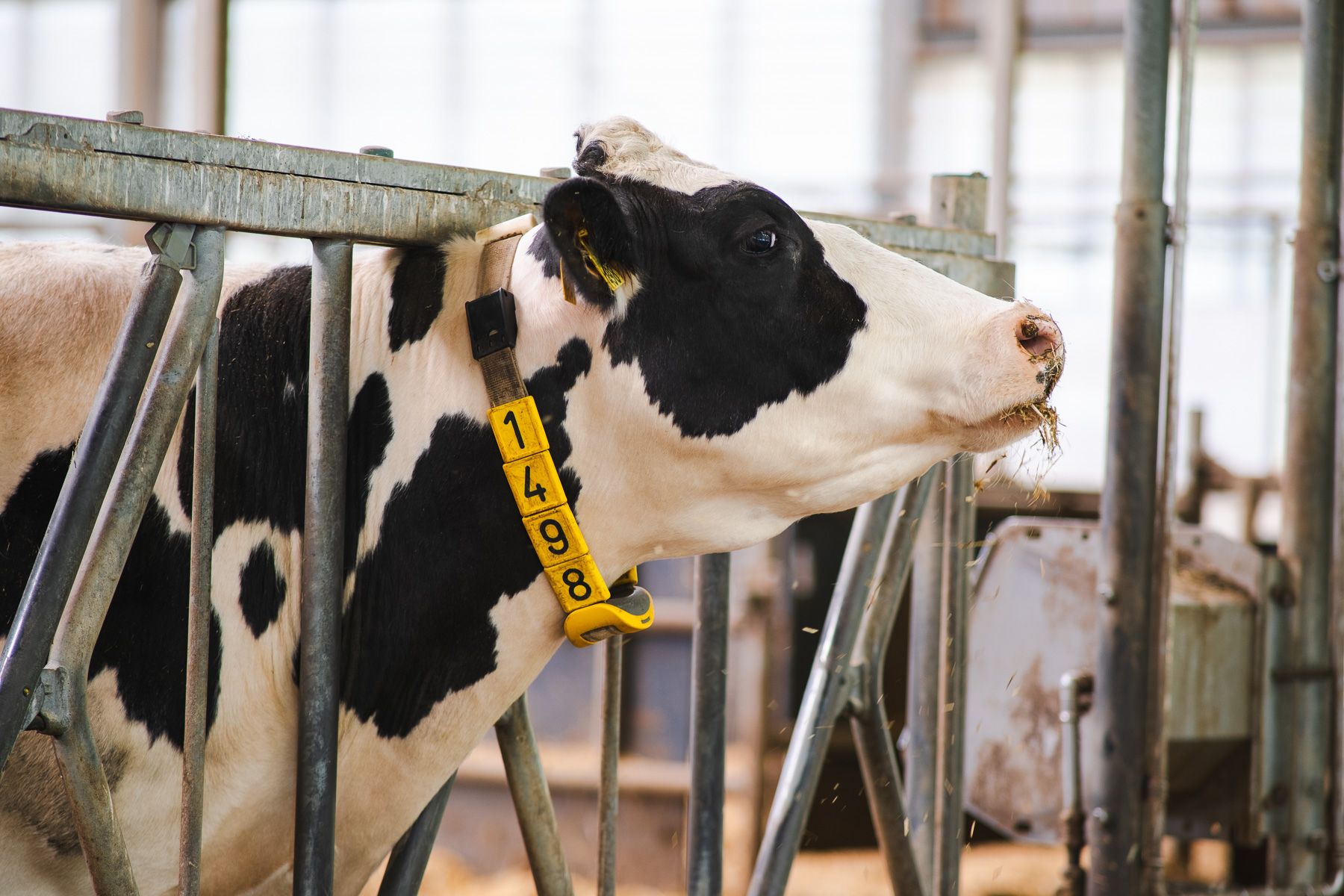 IFCN Dairy Conference 2025 - JEROEN VAN DE BOVENKAMP -6966