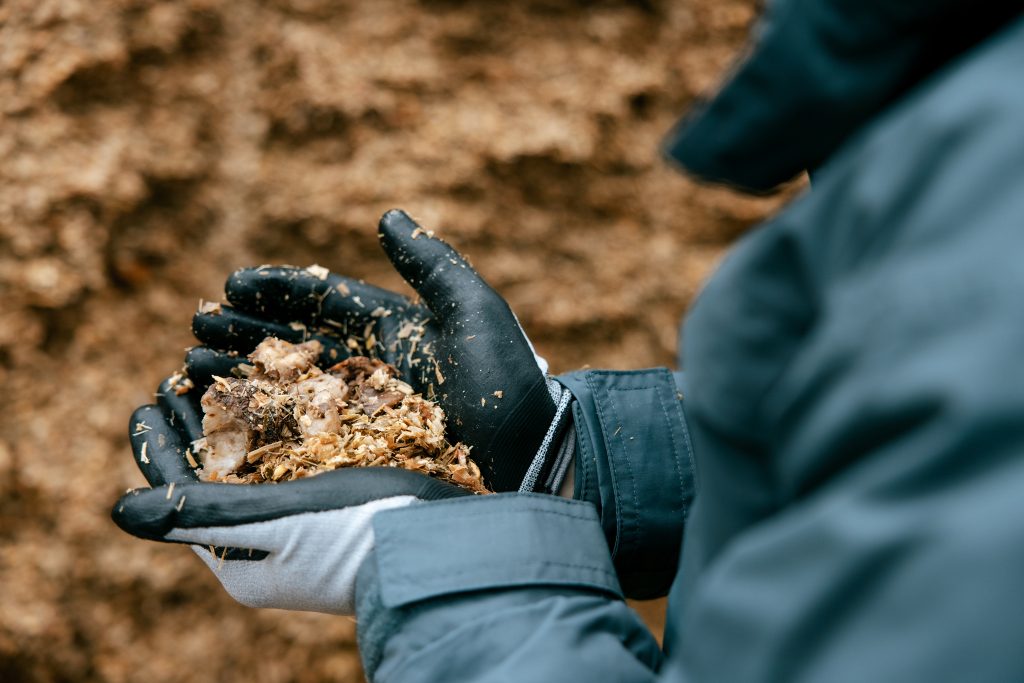 KWS0224_KWS-Feedbeet-Silagen_016