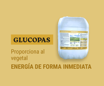 gif-pasfer-glupopas