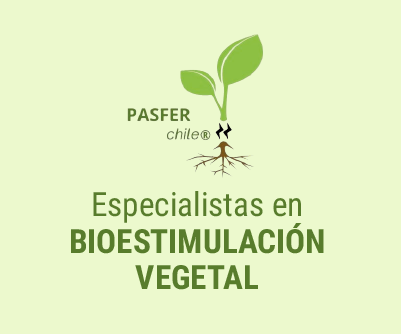 gif-pasfer-logo