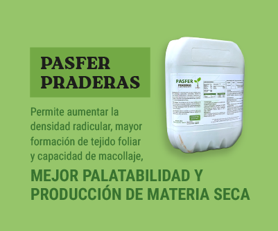 gif-pasfer-praderas