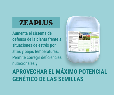 gif-pasfer-zeaplus