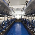Ordeña mecánica y calidad de leche: una mirada actual