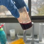 Diagnóstico Veterinario:la ciencia que protege la salud de todos los animales