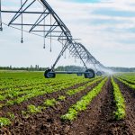 Riego y Efluentes de Cooprinsem: Dos décadas liderando la ingeniería del agua y la sustentabilidad